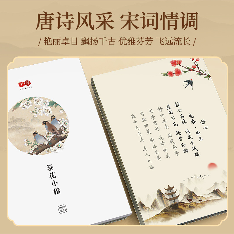 Тетрадь для каллиграфии Hairpi – обзор и цена Chinese Calligraphy Practice Book